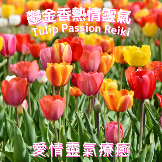 Mercisoul - Tulip Love Reiki